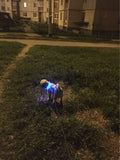 GLOW-IN-THE-DARK LED SAFETY COLLAR - uniqdog