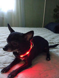 GLOW-IN-THE-DARK LED SAFETY COLLAR - uniqdog