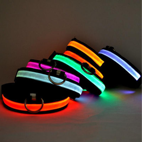 GLOW-IN-THE-DARK LED SAFETY COLLAR - uniqdog